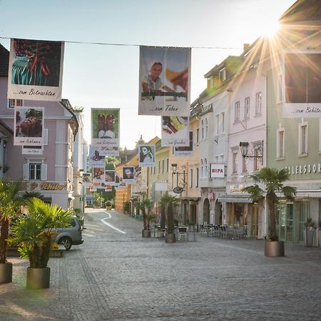 Perfekte Lage! Ganze Wohnung Burgblick Residenz 格兰河畔圣法伊特 外观 照片